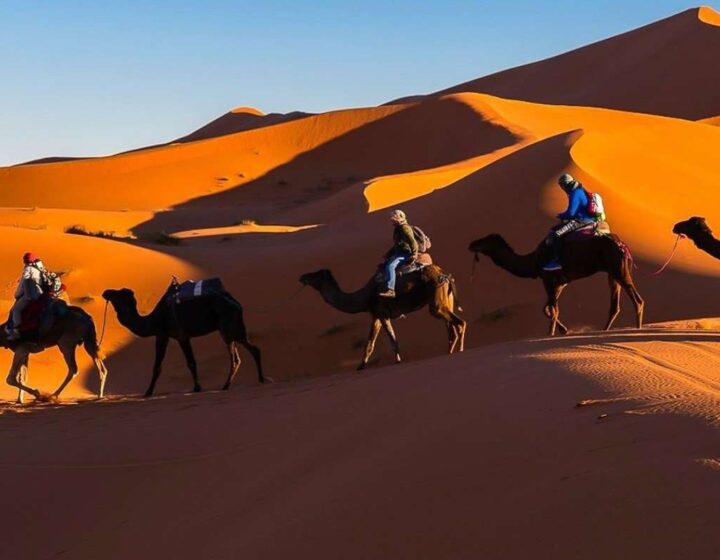6 Days Morocco tour From Tangier. 6 Days in Morocco. 6 Days trip in Morocco. Morocco itinerary 6 Days. Morocco tour 6 Days. Morocco desert tour 6 days. 5 Days Morocco tour.6 Days Morocco desert trip. 6 Days travel in Morocco. 6 Days Sahara Desert tour. 6 Days in Morocco trip. 6 Days desert Morocco tour