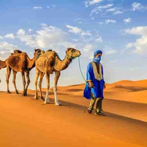 In this 12-day tour in Morocco, we will visit the four famous royal sites: Marrakech, Meknès, Rabat and Fez – with their magnificent palaces, historic buildings, and lively souks. We will pass through huge cedar forests, meet Barbary monkeys, and explore fascinating dune landscapes by camel.