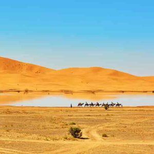 Tour de 12 días en Marruecos 