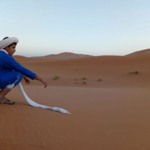 14 day tour in morocco